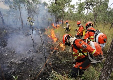 Brasil teve 11,39 milhões de hectares atingidos pelo fogo e MS é um dos mais afetados