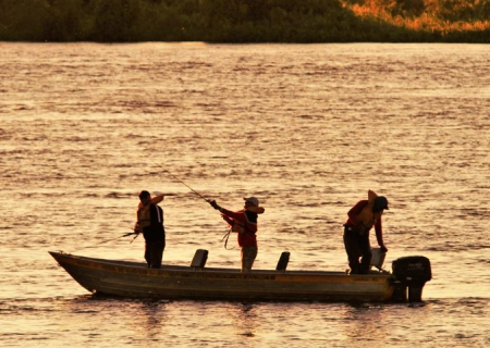 Período de pesca liberada em Mato Grosso do Sul termina em 4 de novembro