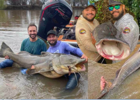 O rio de Fátima do Sul que abriga peixes imensos e maiores do que muita gente