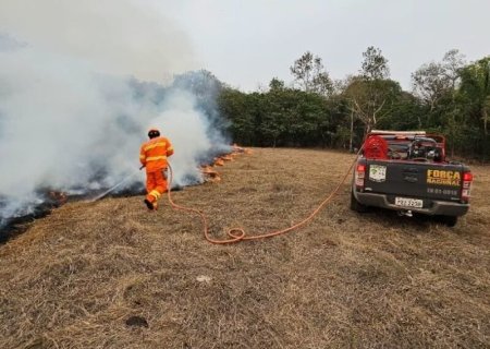 Ministério do Meio Ambiente prorroga estado de emergência ambiental em MS