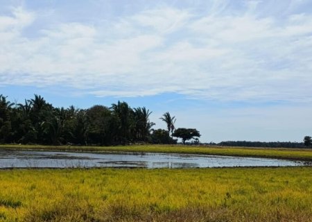 Operação Pantanal: Focos de calor foram reduzidos na Serra do Amolar