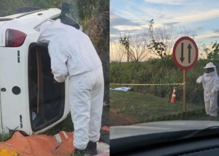 Passageiro de carro morre ao ser atacado por enxame de abelhas após capotamento