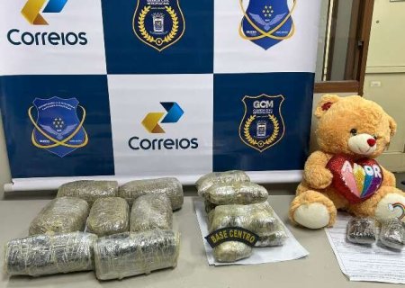 Traficantes usam erva de tereré e ursinho para despachar maconha pelos Correios