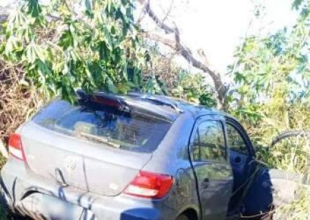 Motorista é encontrado morto dentro de carro em meio a vegetação