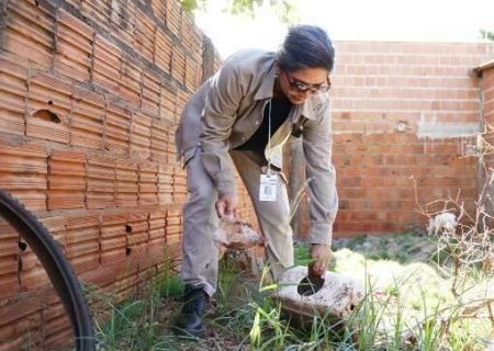 No combate à dengue, governo de MS planeja visitar 7,6 milhões de imóveis