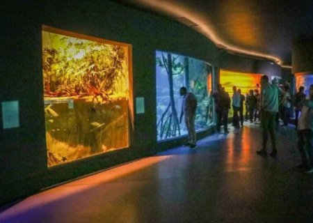 Bioparque Pantanal suspende atividades e reabre em 7 de janeiro