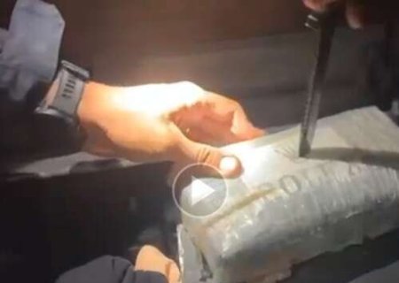 Cães farejadores encontram 237 kg de cocaína escondidos em caminhão de mudança