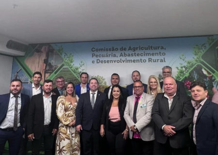 Vereadores de Rio Brilhante em Brasília buscam recursos para o município