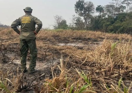 Brasil reduz 70% da área queimada no primeiro trimestre de 2025