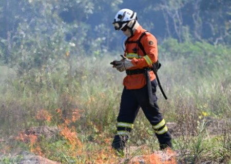 Governo de MS faz de queima prescrita para proteger parque e propriedades no Pantanal