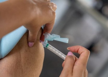 Vacina contra Chikungunya poderá ser incorporada ao SUS